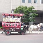 整動鍼の勉強会 in SAPPOROの詳細へ